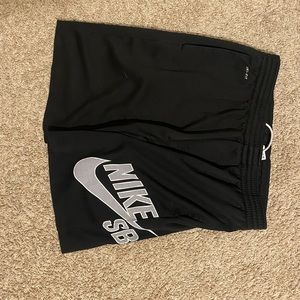 Men’s Nike SB short (large)